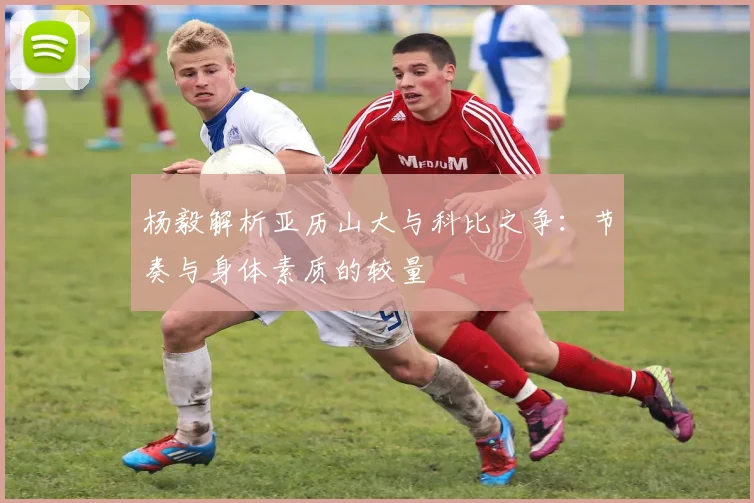 杨毅解析亚历山大与科比之争：节奏与身体素质的较量