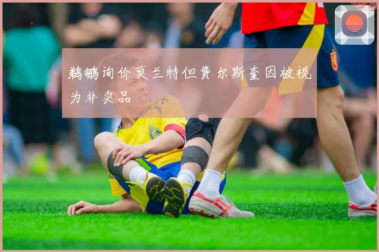 鹈鹕询价莫兰特但费尔斯奎因被视为非卖品